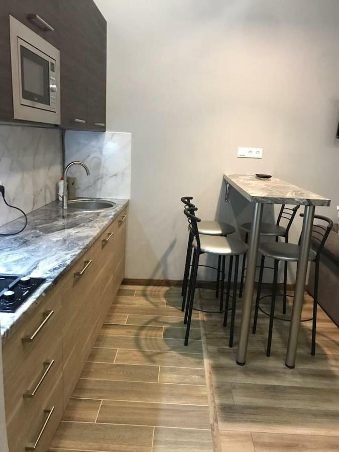 New Appartment-Studio Іn The Center Of לבוב מראה חיצוני תמונה